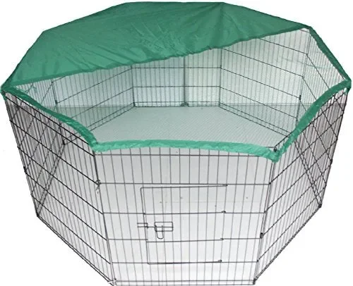 Bunny Business – / coniglio / Guinea Pig / Cane / cucciolo / gatto /…