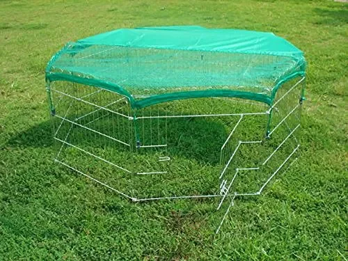 Bunny Business – / coniglio / Guinea Pig / Cane / cucciolo / gatto /… - immagine 2