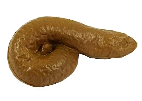 Cacca Finta – Morbida – con Mosca – Scherzi – Scherzetti – Carnevale -…