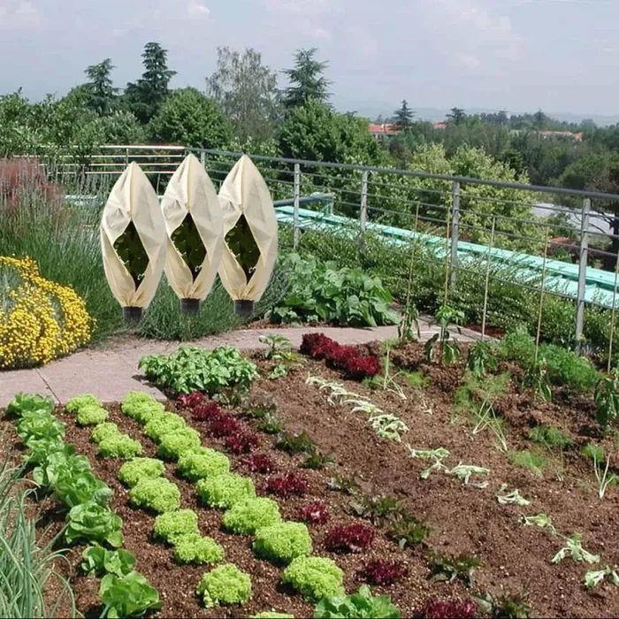 Cappuccio Protezione Copri Piante Esterne 120×180 cm Antigelo Traspirante - immagine 3