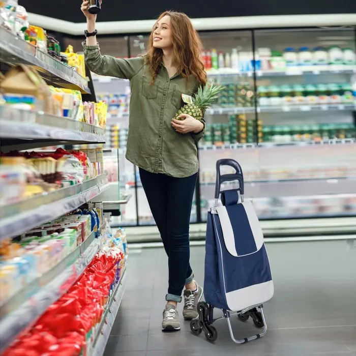 Carrello Portaspesa Pieghevole con 6 Ruote Blu e Bianco 40x29x95 cm - immagine 2