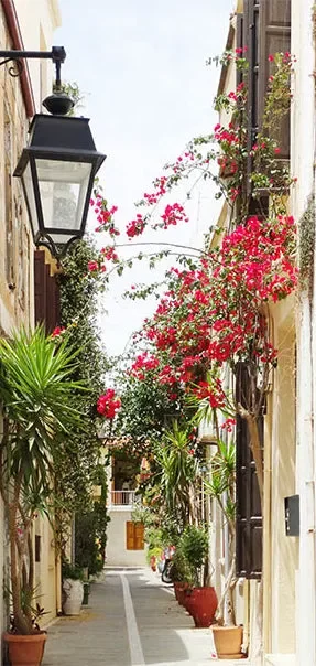 Carta Da Parati Fotomurale Per Porta – Charming Avenue 100x210cm Erroi Fornitura - immagine 2