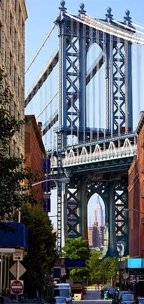Carta Da Parati Fotomurale Per Porta – New York – Bridge 100x210cm Erroi - immagine 2