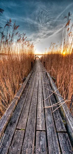 Carta Da Parati Fotomurale Per Porta – Pier On The Lake I 90x210cm Erroi - immagine 2