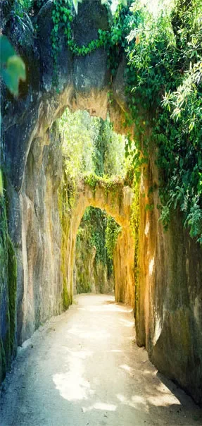 Carta Da Parati Fotomurale Per Porta – Rocky Garden 90x210cm Erroi Online ora - immagine 2