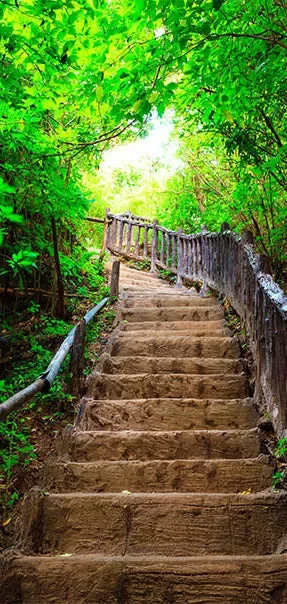 Carta Da Parati Fotomurale Per Porta – Stairs From Nature I 70x210cm Erroi - immagine 2