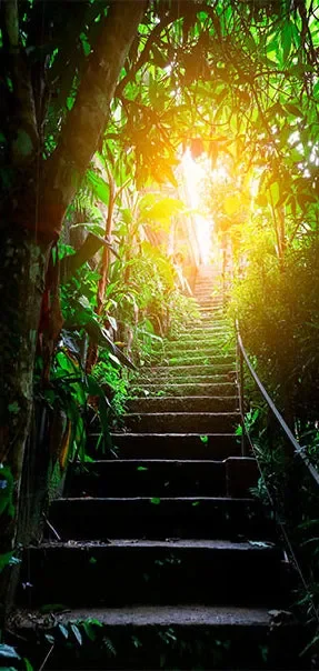 Carta Da Parati Fotomurale Per Porta – Stairs In The Urban Jungle I 80x210cm Erroi - immagine 2