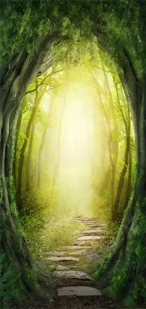 Carta Da Parati Fotomurale Per Porta – The Forest Of Fantasy 90x210cm Erroi - immagine 2