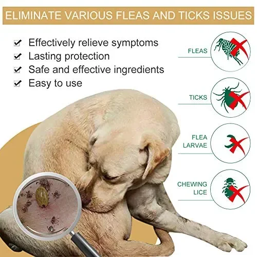 CBROSEY Spray Pulci,Antipulci Cani e Gatti,Flea Spray,Spray per la… Online - immagine 2