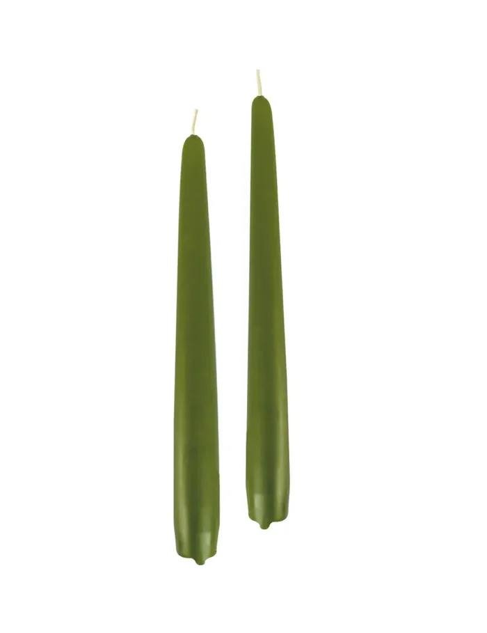 Cereria Di Giorgio Candele Coniche Ø 2,2 cm H. 25 cm (10 pz) – Verde Muschio