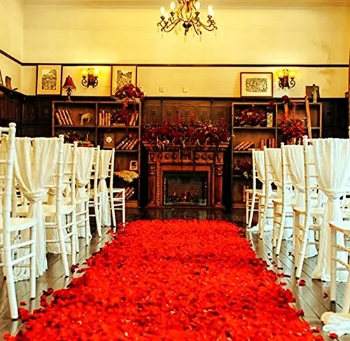 CHSYOO 1000 x Rose Artificiali Foglie Fiori Confetti, Decorazione Rosso - immagine 3
