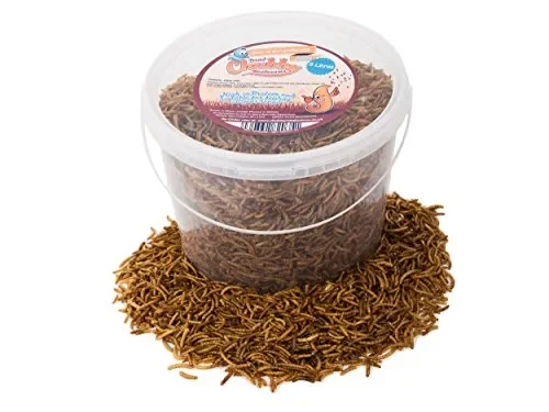Chubby Mealworms 5 litri di camole secche per uccelli selvatici