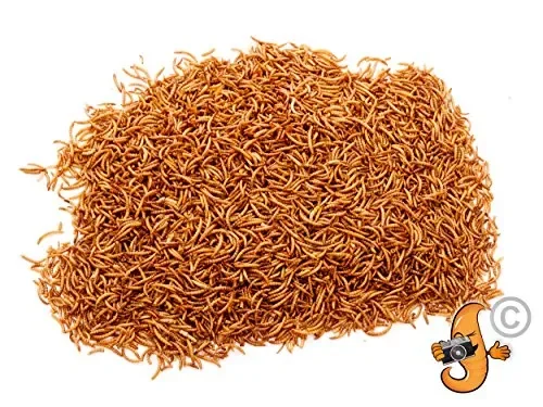Chubby Mealworms 5 litri di camole secche per uccelli selvatici - immagine 3