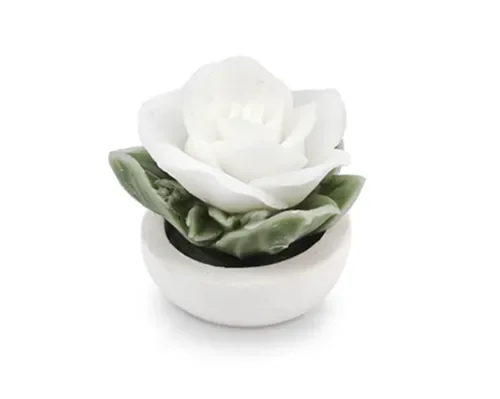 CIOTOLA GESSO CON ROSA BIANCO