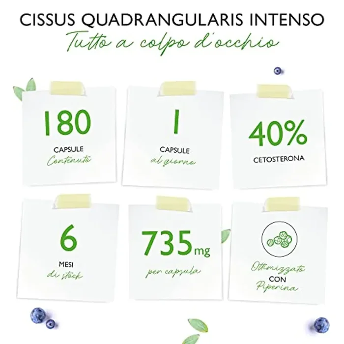 Cissus Quadrangularis – 180 capsule con 720 mg di estratto – Premium: 40% Ketosterone + Pepe nero – Alto dosaggio – Vegan - immagine 3