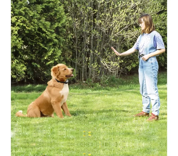 Collare per Addestramento dei cani a vibrazione con display luminoso - immagine 2