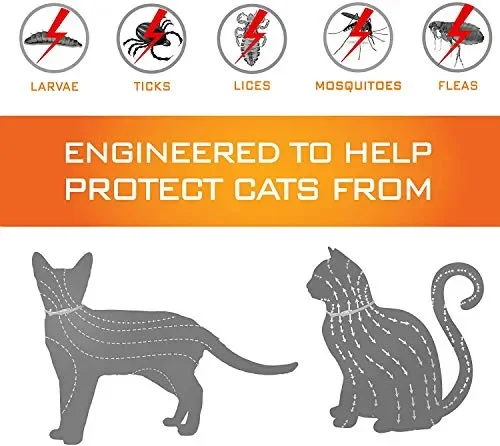 Collare per pulci di Gatto-Collare insetticidi gatto-12 Mesi gray - immagine 2