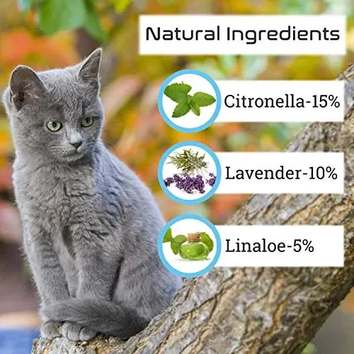 Collare per pulci di Gatto-Collare insetticidi gatto-12 Mesi gray - immagine 3