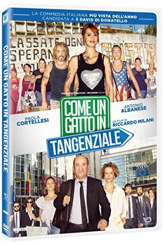 Come Un Gatto In Tangenziale