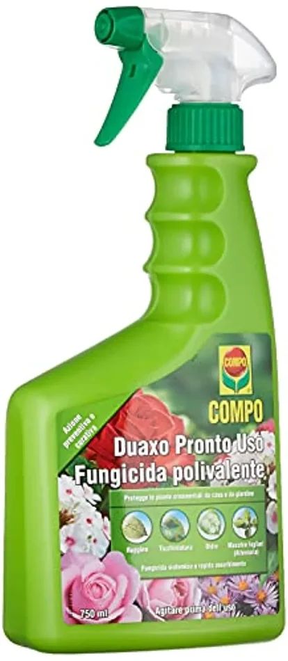 COMPO Duaxo Pronto Uso, Fungicida Polivalente, Per la Protezione delle Piante Ornamentali da casa e da giardino, 750 ml Vendita calda
