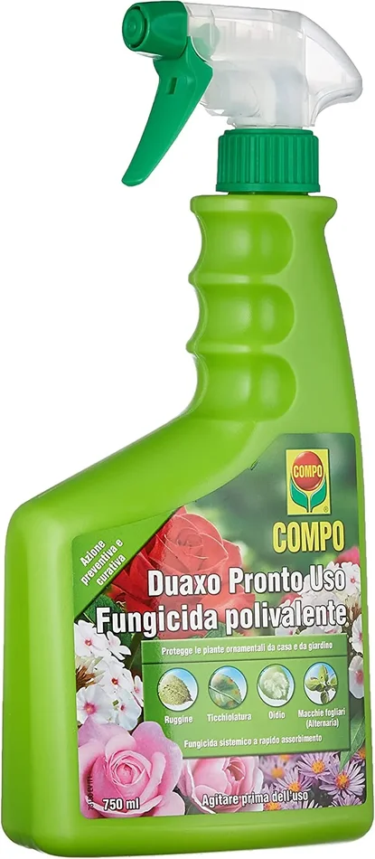 COMPO Duaxo Pronto Uso, Fungicida Polivalente, Per la Protezione delle Piante Ornamentali da casa e da giardino, 750 ml Moda