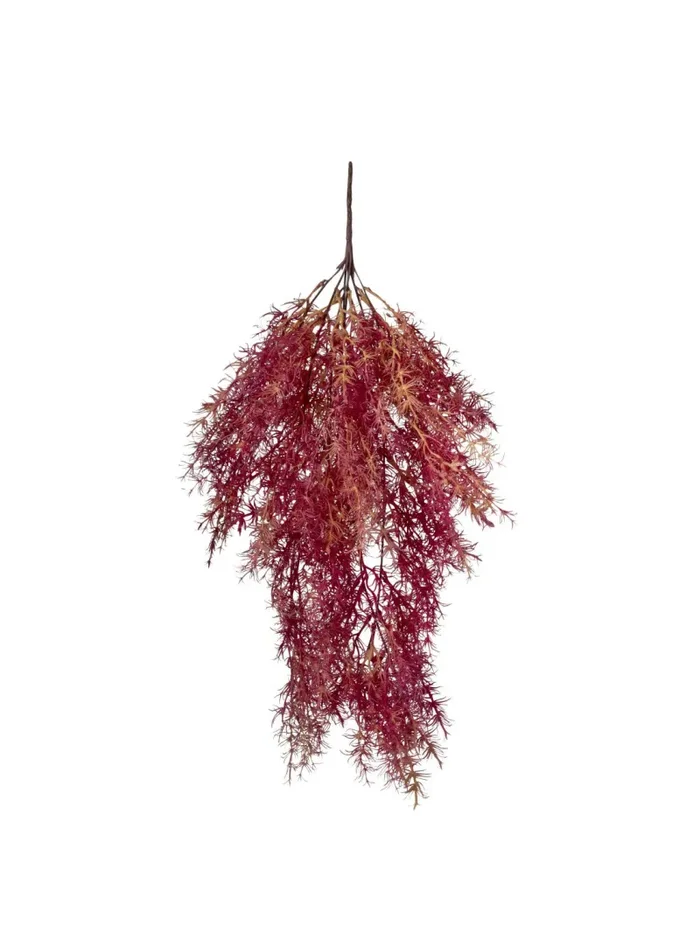 Conti Cadente Asparago 70 Cm Orange