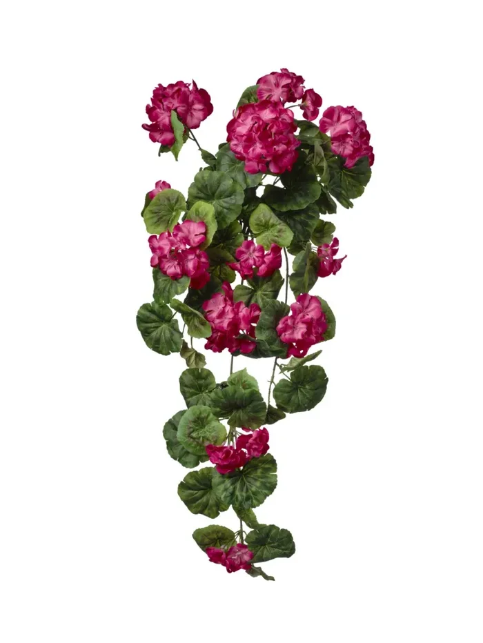 Conti Mazzo Geranio 33 x 70 Cm x 8 Rami Beauty Vendita calda