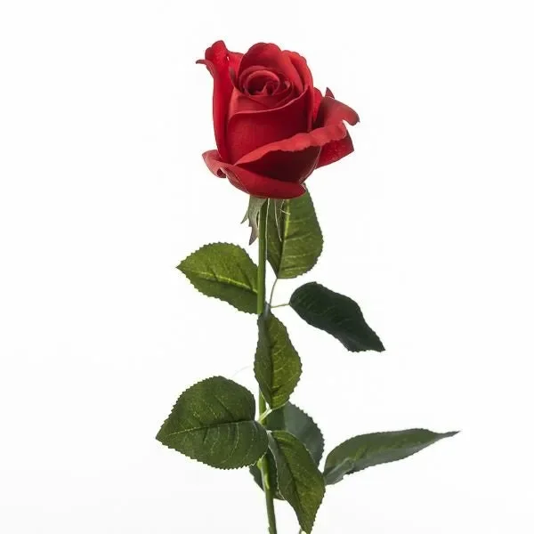 Conti Ramo Rosa H 65 Cm Red