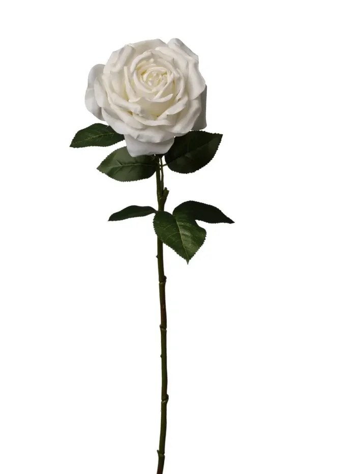 Conti Ramo Rosa Singola H 65 Cm White Sconti