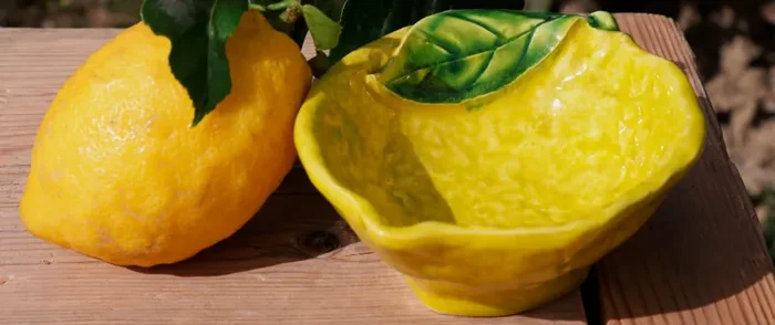 COPPETTA LIMONE - immagine 2