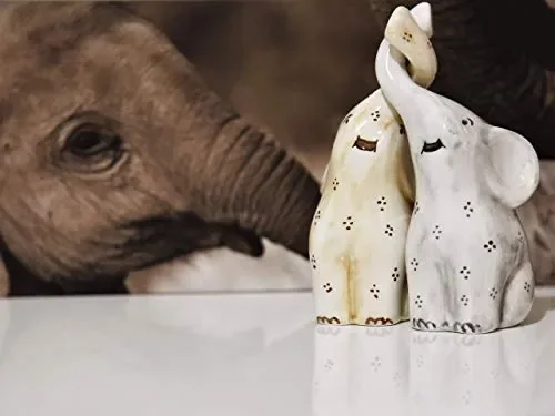 Coppia elefanti in ceramica intrecciati fatti e decorati a mano - immagine 3