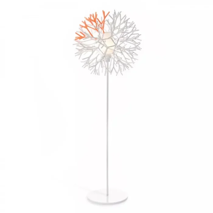 Coral lampada da terra