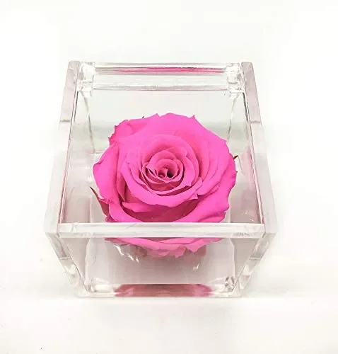 Cubo Rosa stabilizzata fucsia 5cm, profumata è una vera e propria che… Saldi