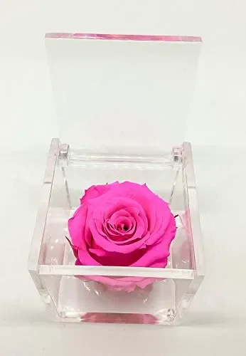 Cubo Rosa stabilizzata fucsia 5cm, profumata è una vera e propria che… Saldi - immagine 2