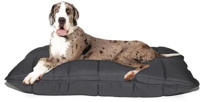 Cuscino Imbottito per Cani e Gatti 60×100 cm in Microfibra Chunky Grigio Scuro Vendita online