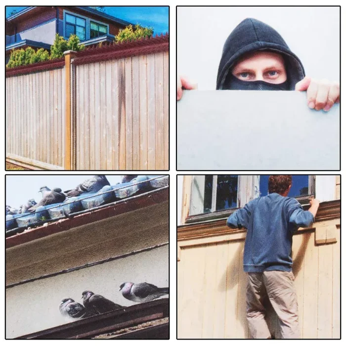 Dissuasori Piccioni Plurispillo Plastica 4PZ Per Uccelli Colombi Volatili 2mt - immagine 2