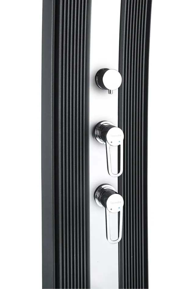 Doccia Solare Ibrida da Giardino 40L Miscelatore e Doccetta Lavapiedi Antracite/Inox - immagine 3