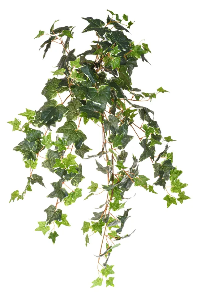 Edera Artificiale Variegata Composta da 178 Foglie Altezza 78 cm Verde
