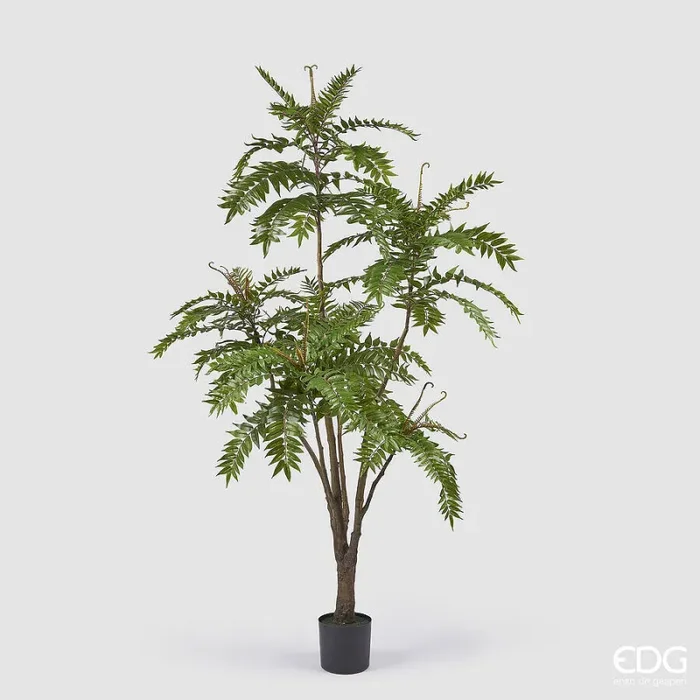 EDG Enzo De Gasperi Ailanto con Vaso Artificiale H 220 Cm Green Fornitura