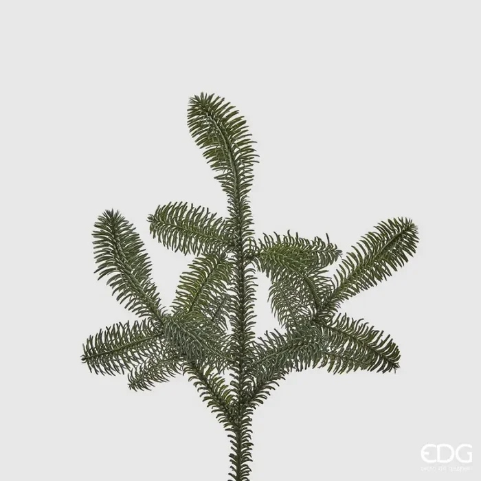 EDG Enzo De Gasperi Albero di Natale Pino Nobilis West Ramo H 52 Cm Green 1 Pz