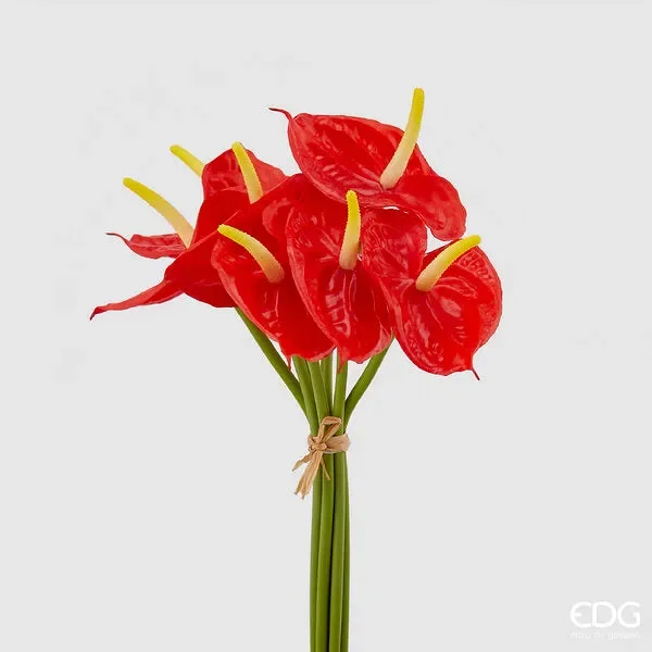 EDG Enzo De Gasperi Anturium Chic Bouquet H 37 Cm 7 Pz Coral