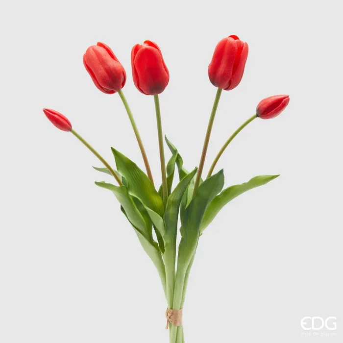 EDG Enzo De Gasperi Bouquet 5 Tulipani con Foglie H 48 Cm Red
