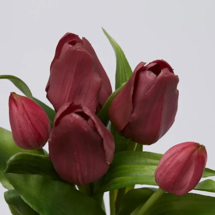 EDG Enzo De Gasperi Bouquet 5 Tulipani Olis Ass. H 28 Cm Mauve 1 Pz Saldi - immagine 3