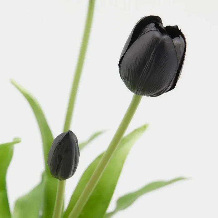 EDG Enzo De Gasperi Bouquet di 5 Tulipani Chiusi Gomma Olis H 40 Cm Black - immagine 2