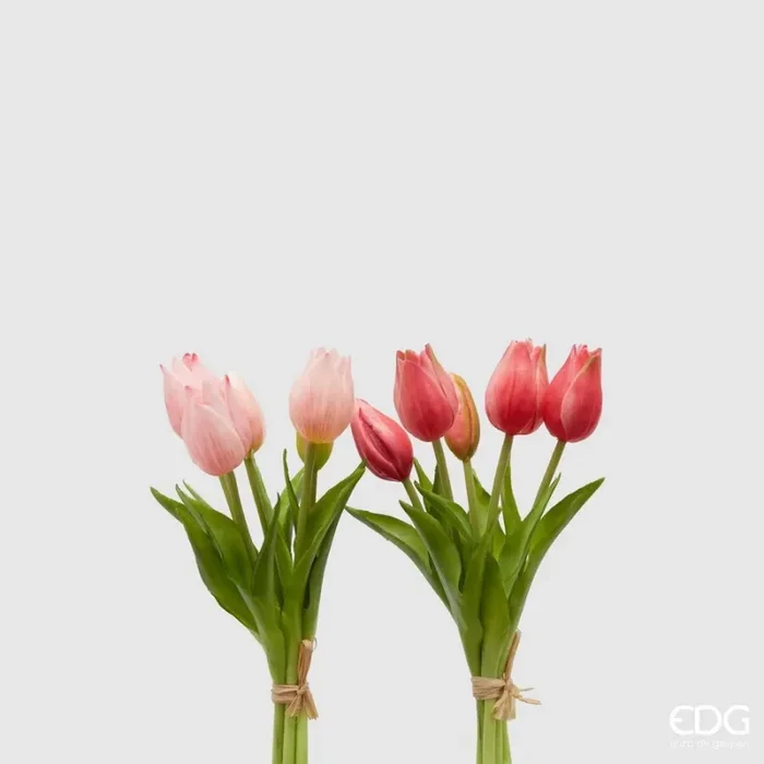 EDG Enzo De Gasperi Bouquet di 5 Tulipani Olis Ass. H 26 Cm Two Tone Pink 1 Pz