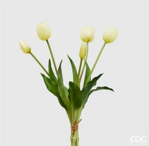 EDG Enzo De Gasperi Bouquet di 5 Tulipani Olis Ass. H 40 Cm Ivory 1 Pz
