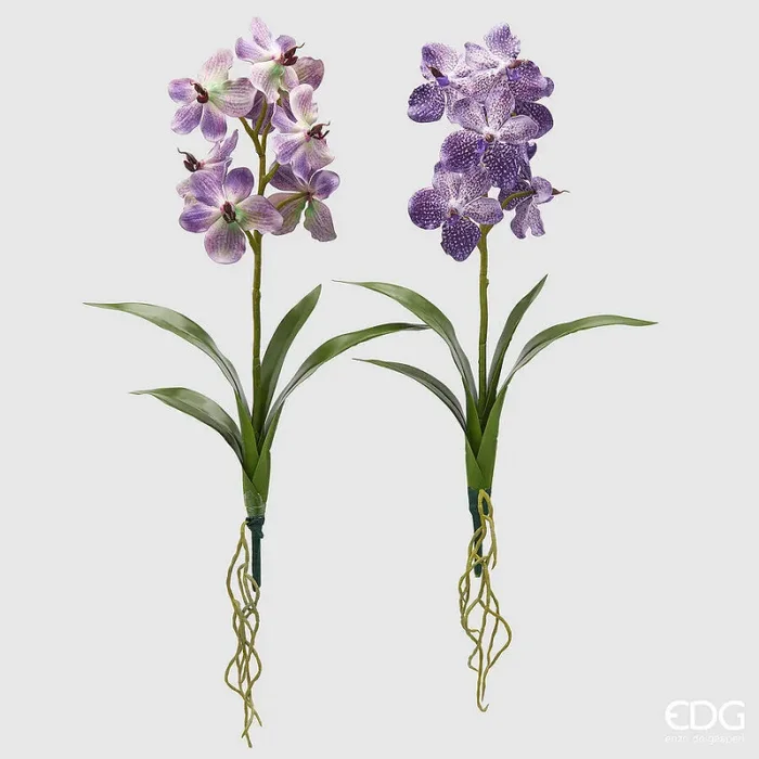 EDG Enzo De Gasperi Cespuglio Orchidea Vanda Artificiale con Foglio H 70 Cm Ass. Violet 1 Pz
