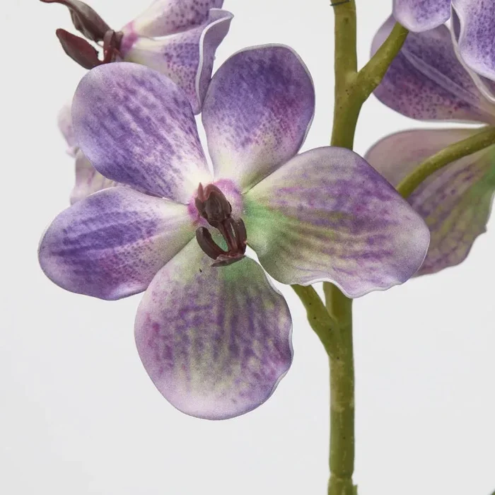 EDG Enzo De Gasperi Cespuglio Orchidea Vanda Artificiale con Foglio H 70 Cm Ass. Violet 1 Pz - immagine 3