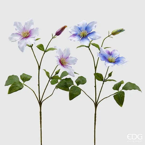 EDG Enzo De Gasperi Clematis con Foglie 2 Rami con Bocciolo 2 PZ Assortiti