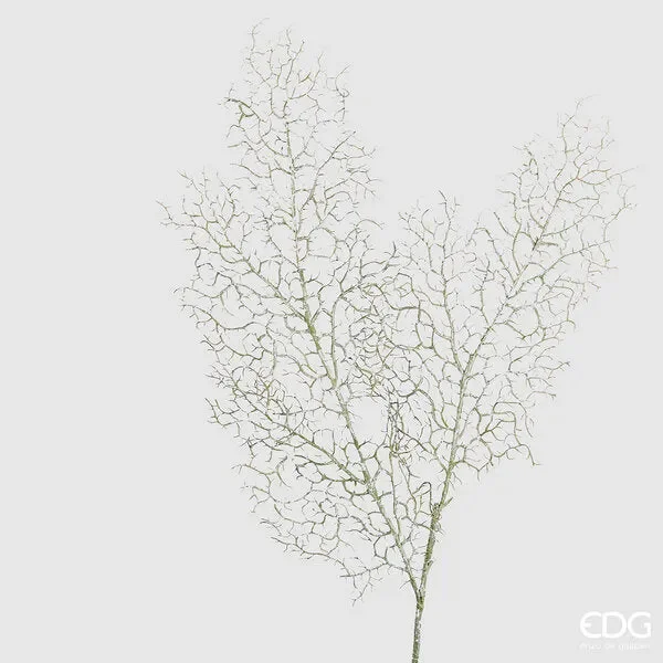 EDG Enzo De Gasperi Corallo Bell Ramo H 94 Cm Sage